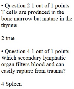 Quiz 6